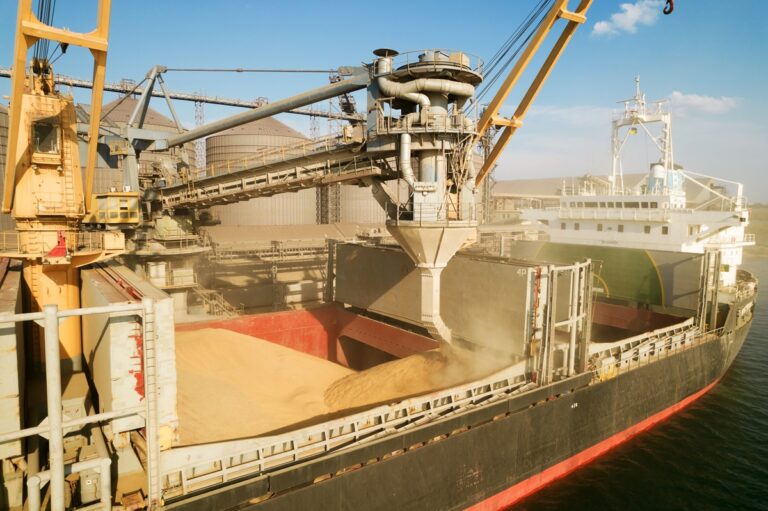 Новини бізнесу - Україна скоротила експорт зерна