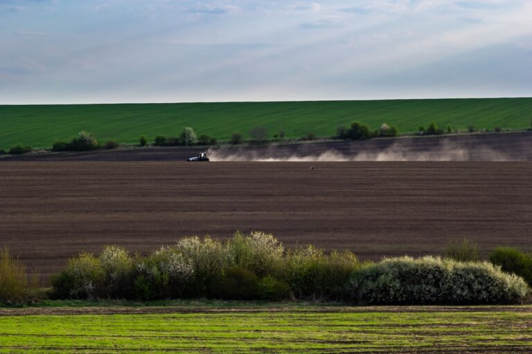 Новини бізнесу - Весняна сівба: аграрії виконали 76% плану