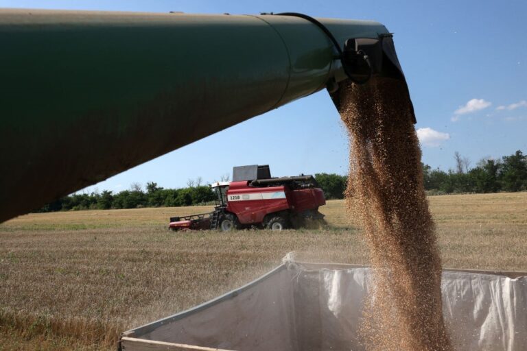 Новини бізнесу - ЄС відновить квоти для агропродукції України