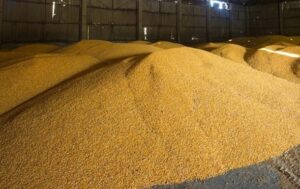 Новини бізнесу - Україна пригрозила санкціями Бангладеш