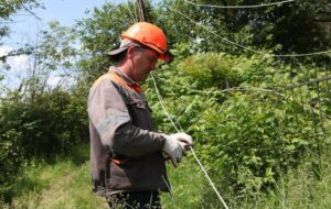 Новини України - Укренерго повідомило про відключення у п'яти областях