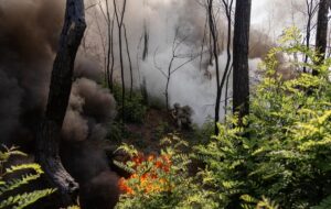Новини України - Генштаб розповів про наступальні дії росіян