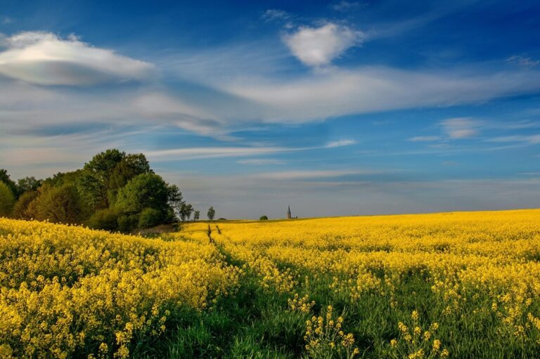 Новини культури - Гороскоп для всіх знаків зодіаку на 9 липня 2025 року