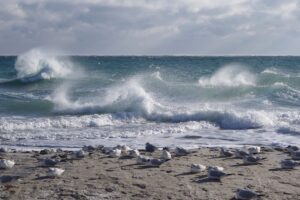 Новини України - Морську міну винесло на узбережжя Одещини