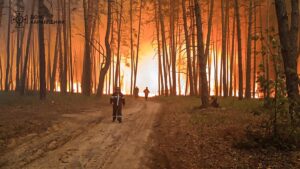 Новини України - На Харківщині вирують масштабні лісові пожежі