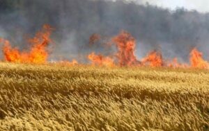 Новини України - Росіяни вдарили по Кіровоградщині: виникла пожежа