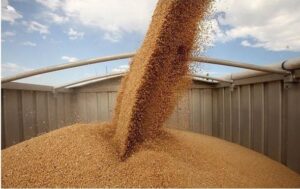 Новини України - Україну обрано до Ради Продовольчої програми ООН