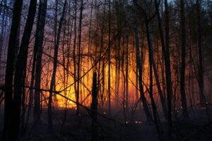 Новини світу - Іспанія у вогні: вирують масштабні лісові пожежі