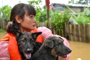 Новини світу - Каджікі наближається: В’єтнам планує евакуювати понад півмільйона людей