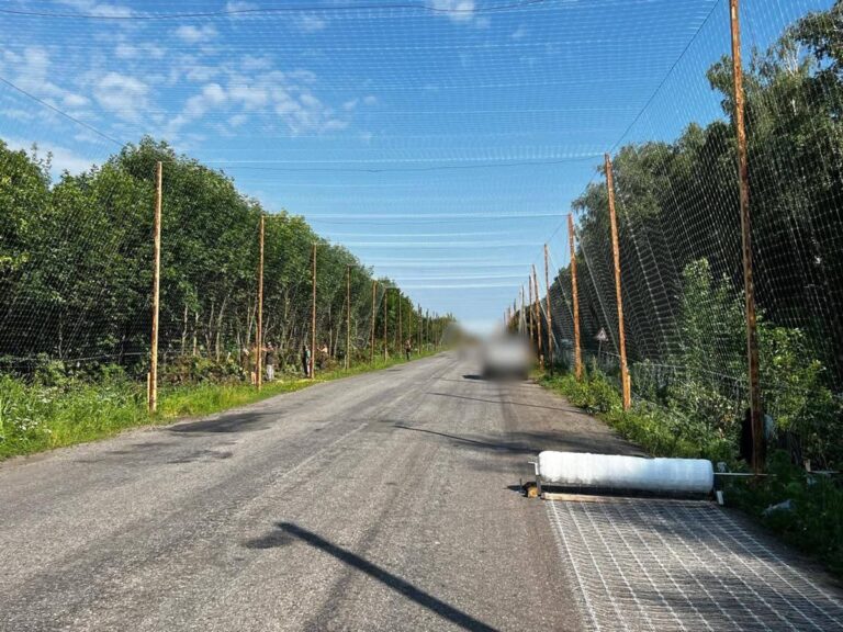 Новини України - Над дорогами Сумщини зводять "антидронові тунелі"