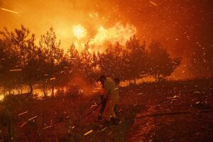 Новини світу - Пожежі у Туреччині зупинили рух протокою Дарданелли