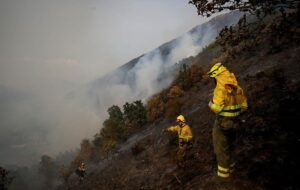 Новини світу - В Іспанії через численні пожежі вигоріла площа розміром, як острів Майорка