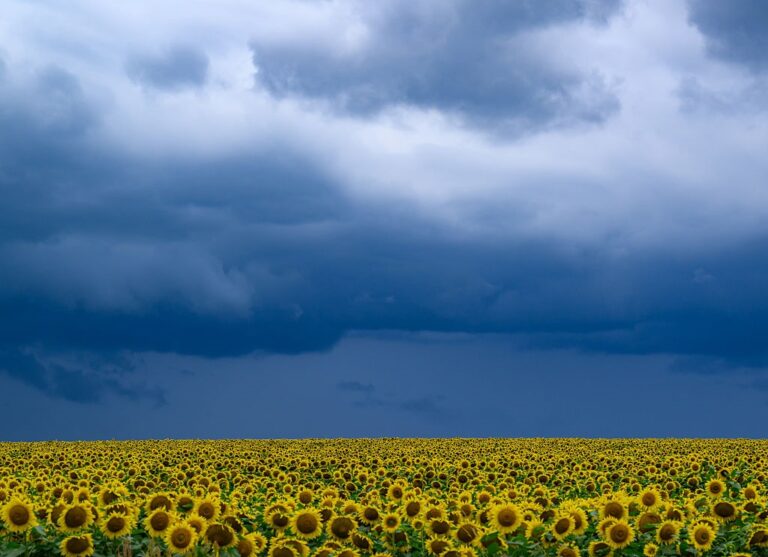 Новини України - В Україні прогнозують до +33°, подекуди грози та град