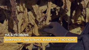 На Буковині викрито та припинено підпільне виробництво тютюну, який реалізовували по всій країні