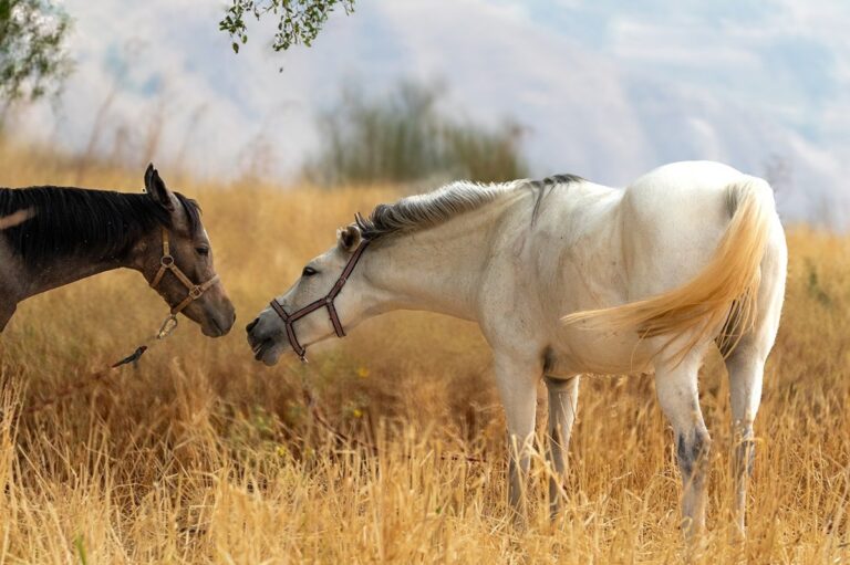 Новини культури - Гороскоп для всіх знаків зодіаку на 21 жовтня 2025 року