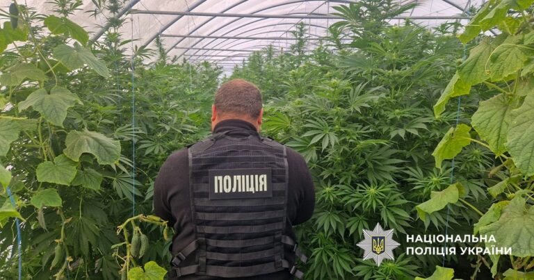 Новини України - На Дніпропетровщині викрили наркоаграріїв