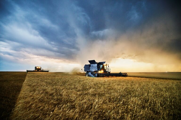 Новини бізнесу - Українські аграрії обмолотили 65% зернових площ