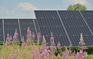 Технології - Відновлювана енергія у світі вперше обігнала вугілля за обсягом генерації