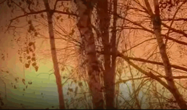 Новини України - Уражено НПЗ у РФ та місце зберігання дронів Криму