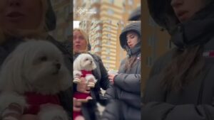 Київ: аварійно-рятувальні роботи тривають